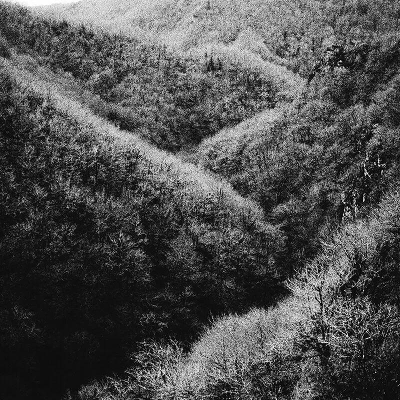 Photographie noir et blanc de Laure Pradeau, versants boisés au grain appuyé