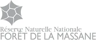 Réserve Naturelle Nationale de la forêt de la Massane